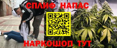 тгк Свободный