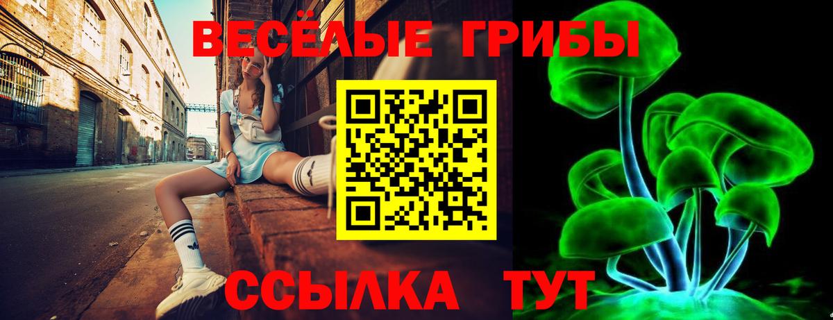 Галлюциногенные грибы прущие грибы  Вход с VPN  Комсомольск-на-Амуре 